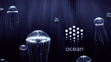 Ocean Protocol (OCEAN) Veri Pazarı ve Blockchain